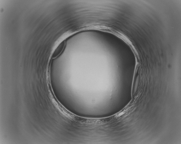 X0000057090811200509301549