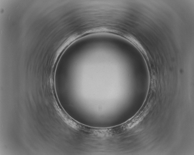 X0000057090813200509301549