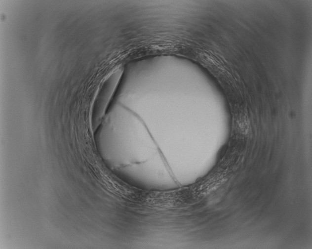 X0000057090817200509301548