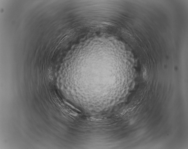 X0000057090819200509301548