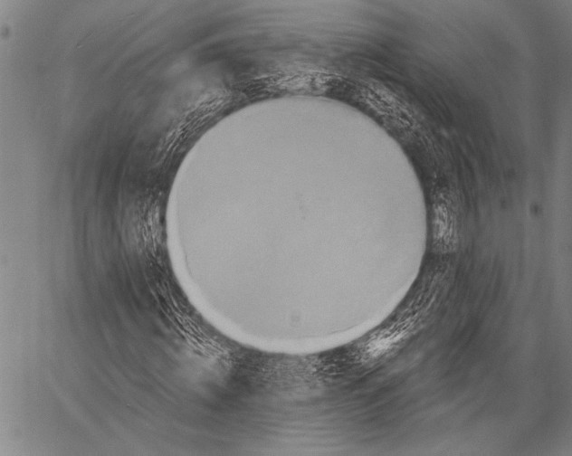 X0000057090820200509301548