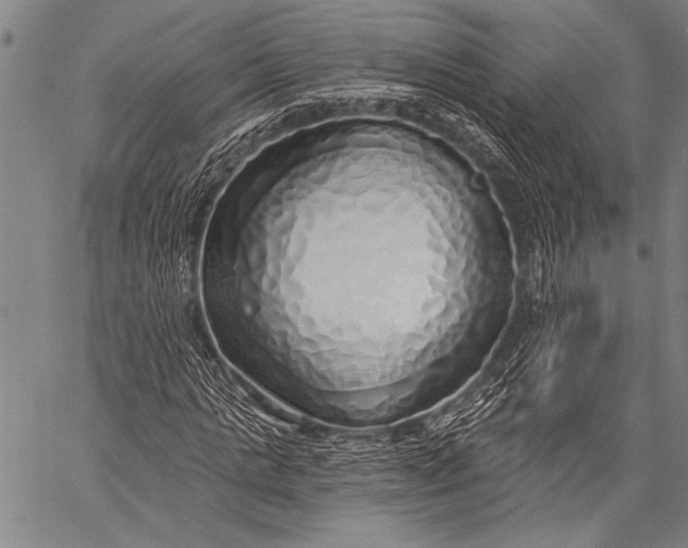 X0000057090821200509301548