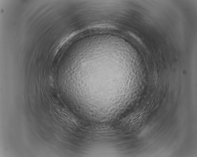 X0000057090823200509301548