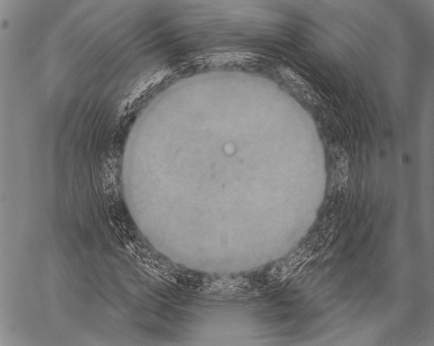 X0000057090824200509301548