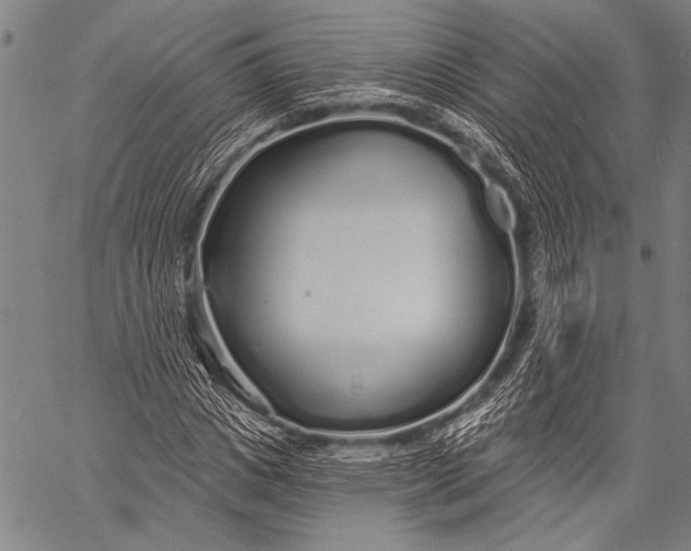 X0000057090825200509301548