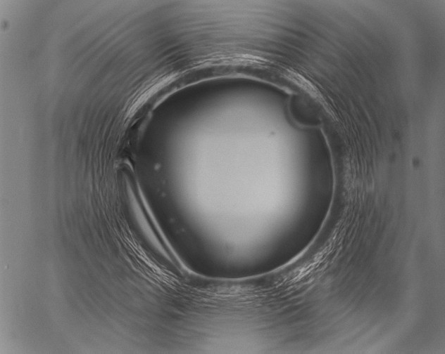 X0000057090826200509301548