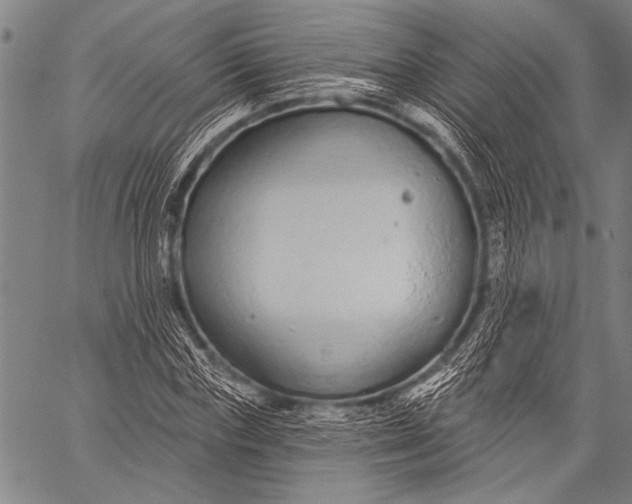 X0000057090827200509301548