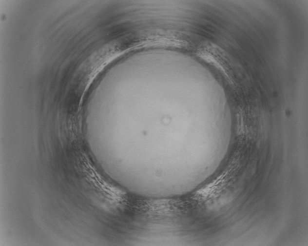 X0000057090828200509301548