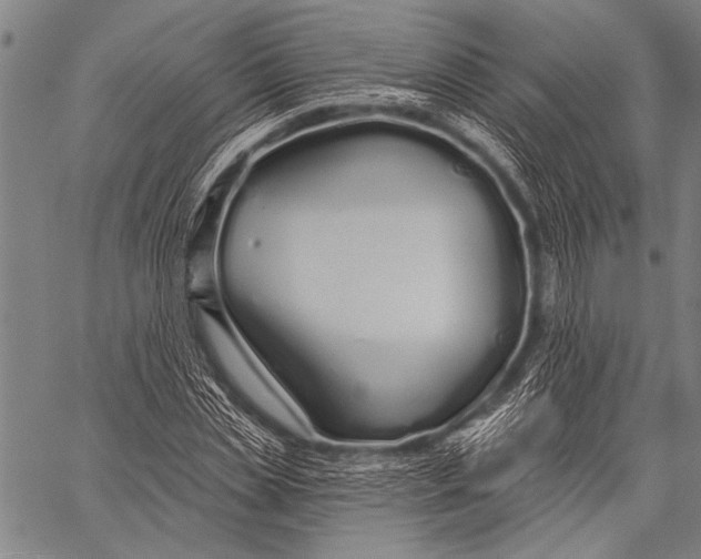 X0000057090829200509301548