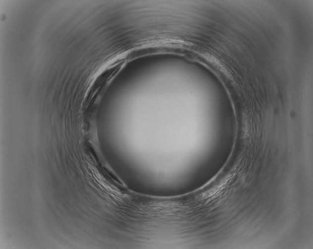 X0000057090830200509301548