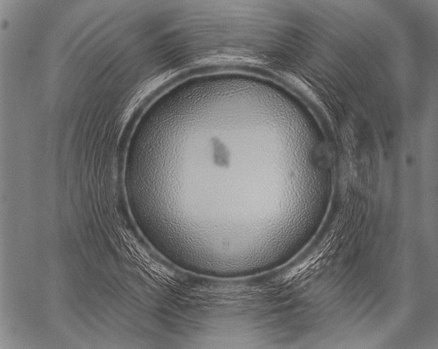 X0000057090831200509301549