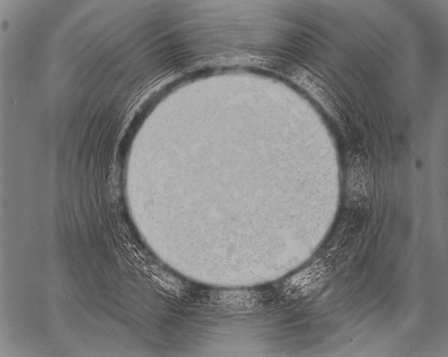 X0000057090832200509301549