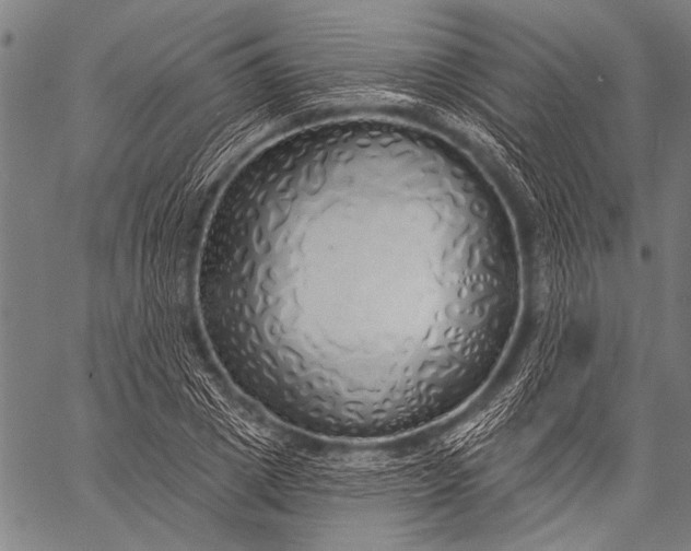 X0000057090833200509301549