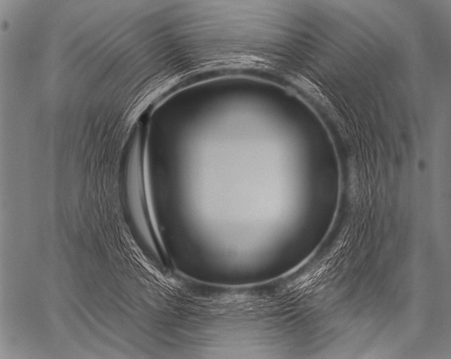 X0000057090834200509301549