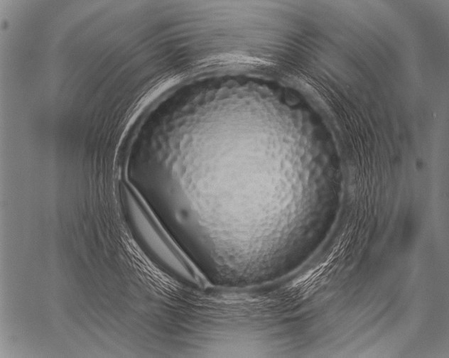 X0000057090835200509301549