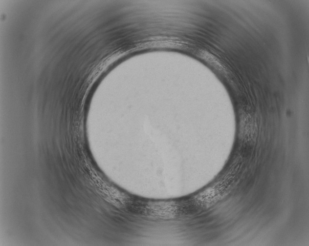 X0000057090836200509301549