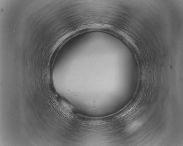 X0000057090837200509301549