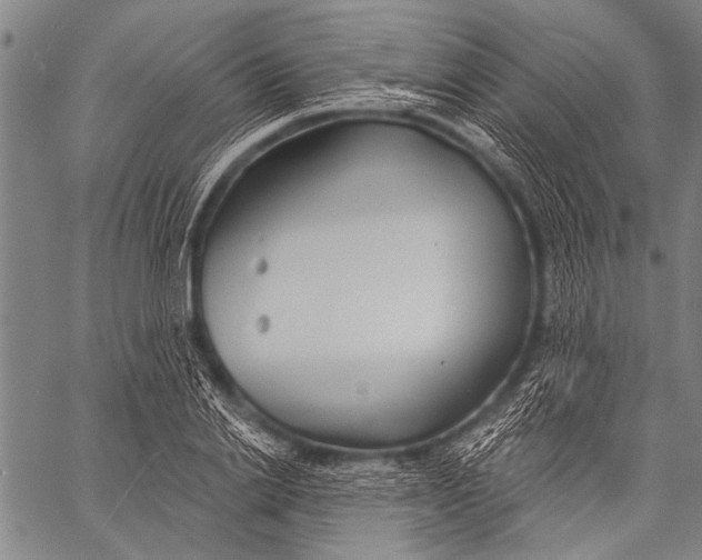 X0000057090838200509301549