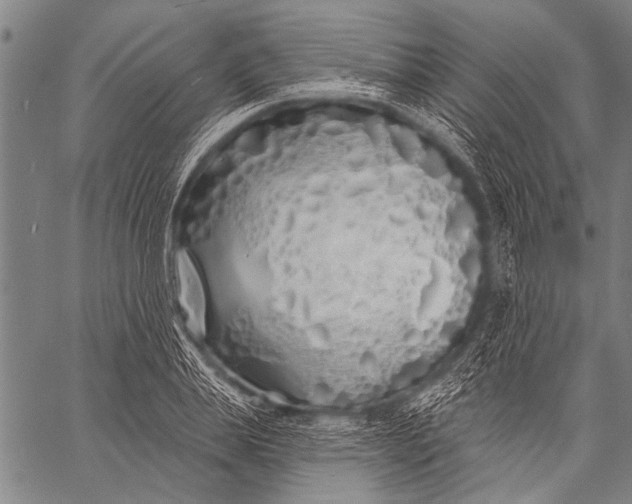 X0000057090839200509301549