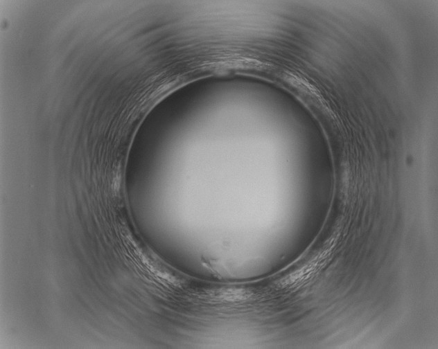 X0000057090841200509301549