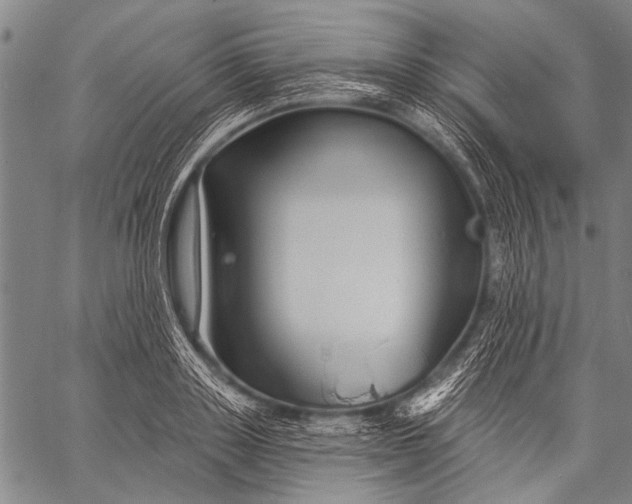 X0000057090843200509301549