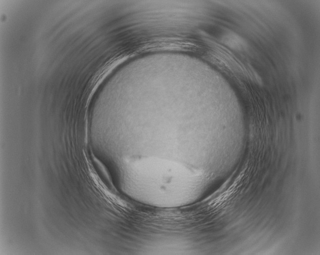 X0000057090844200509301549