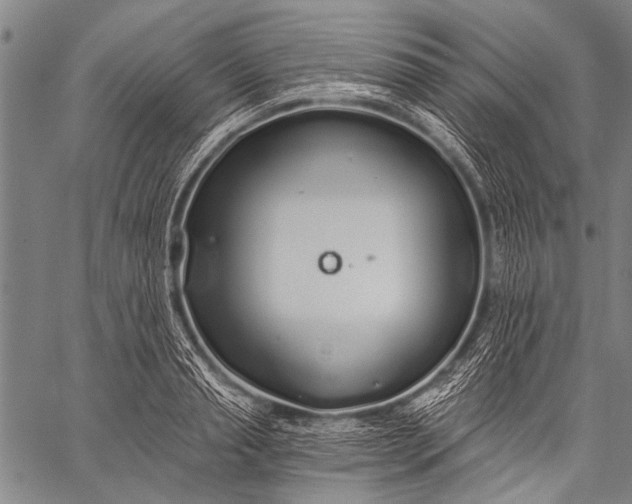 X0000057090845200509301549