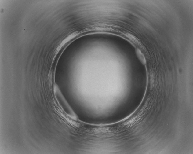 X0000057090846200509301549