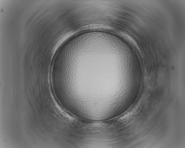 X0000057090847200509301549