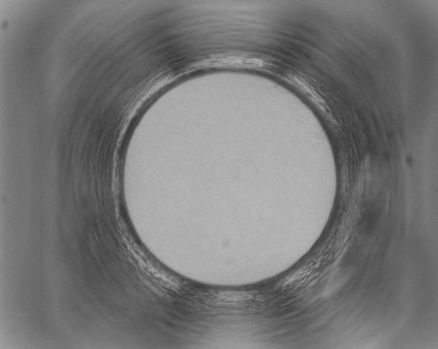 X0000057090848200509301549