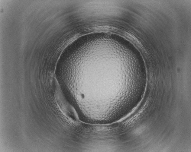 X0000057090849200509301549