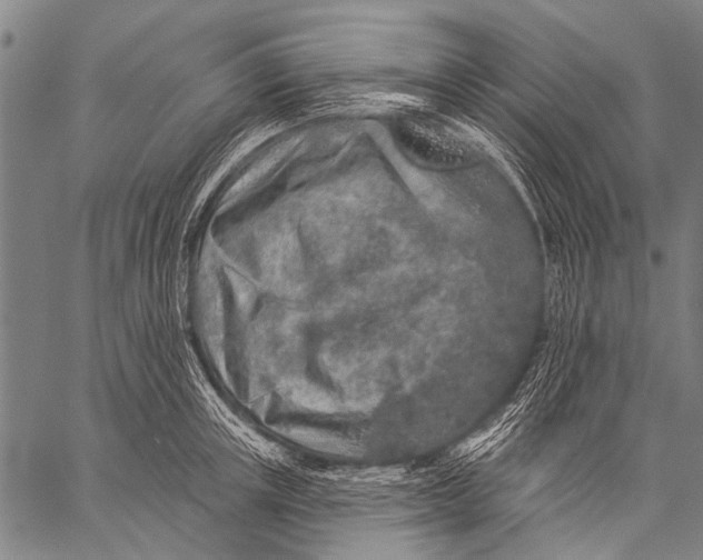 X0000057090851200509301549