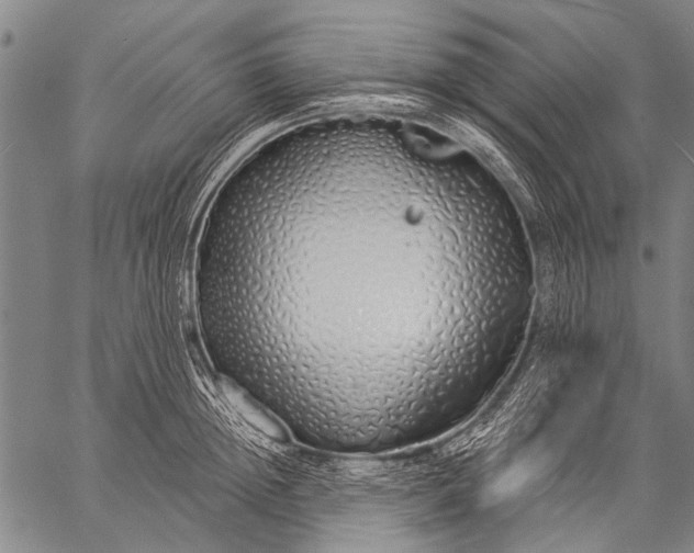 X0000057090852200509301549