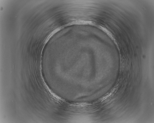 X0000057090853200509301549