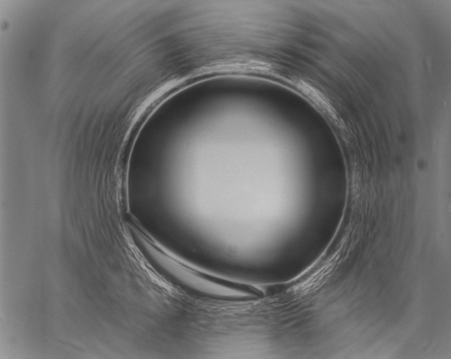 X0000057090854200509301549