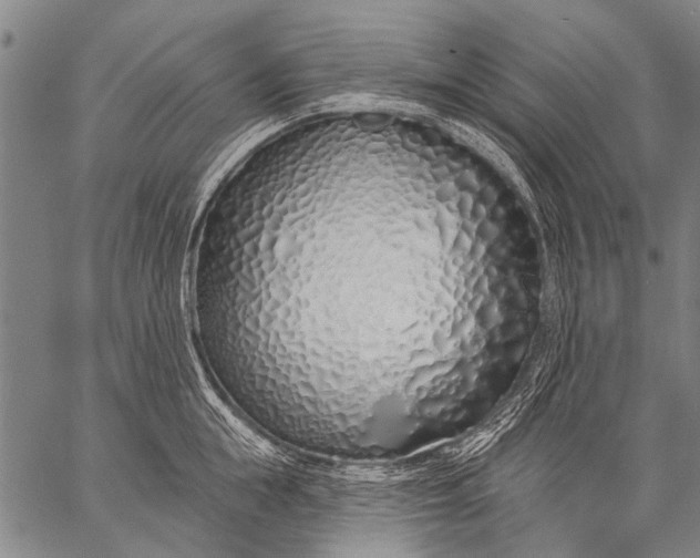 X0000057090855200509301549