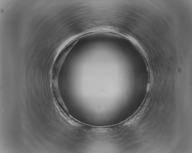 X0000057090862200509301549