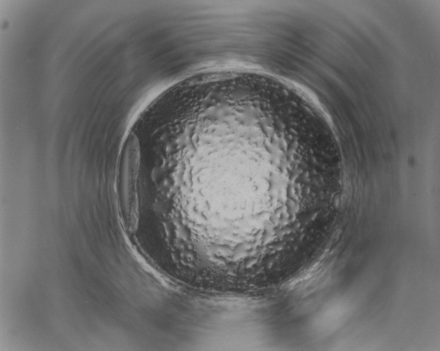 X0000057090863200509301549