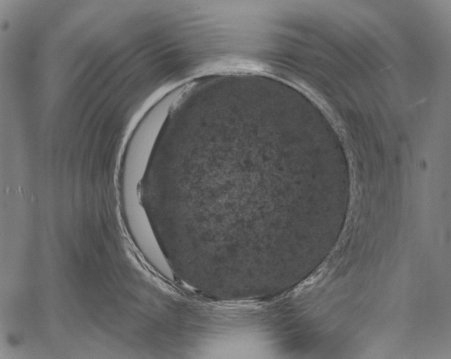 X0000057090864200509301549