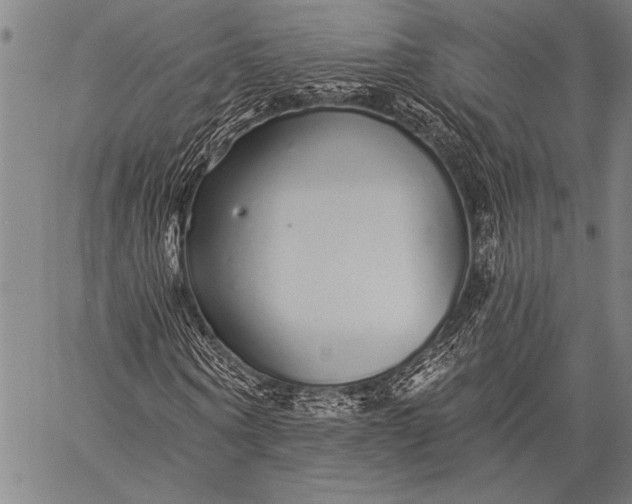 X0000057090866200509301548