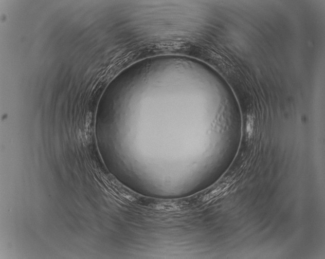 X0000057090867200509301548