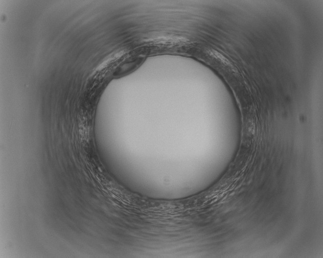 X0000057090869200509301548