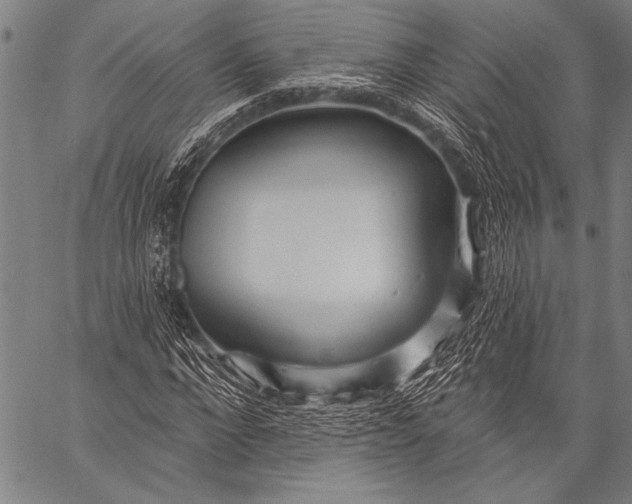 X0000057090872200509301548