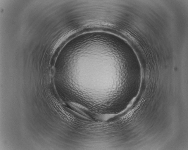 X0000057090877200509301548