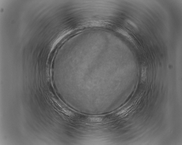 X0000057090878200509301548