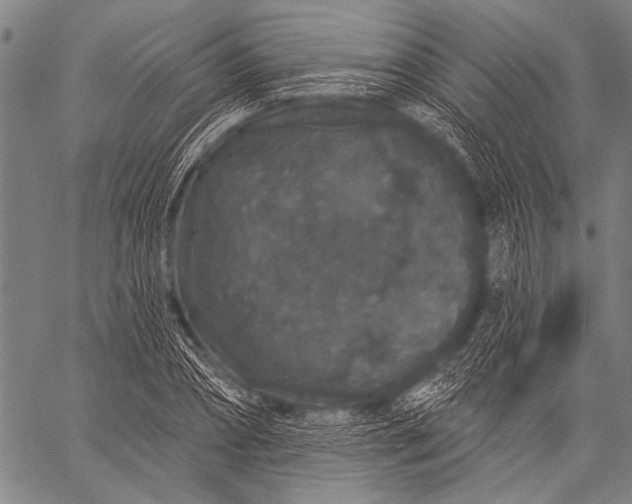 X0000057090882200509301548