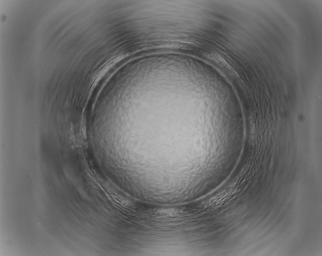 X0000057090883200509301548