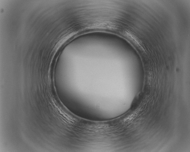 X0000057090884200509301548