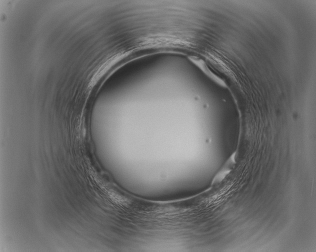 X0000057090885200509301548