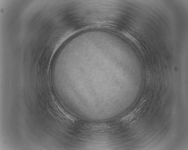 X0000057090886200509301548